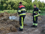 Prio 2 Berm Ruigte Brand De Miedwei Twijzel